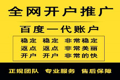 竞价广告的深度解析：以一知名品牌为例